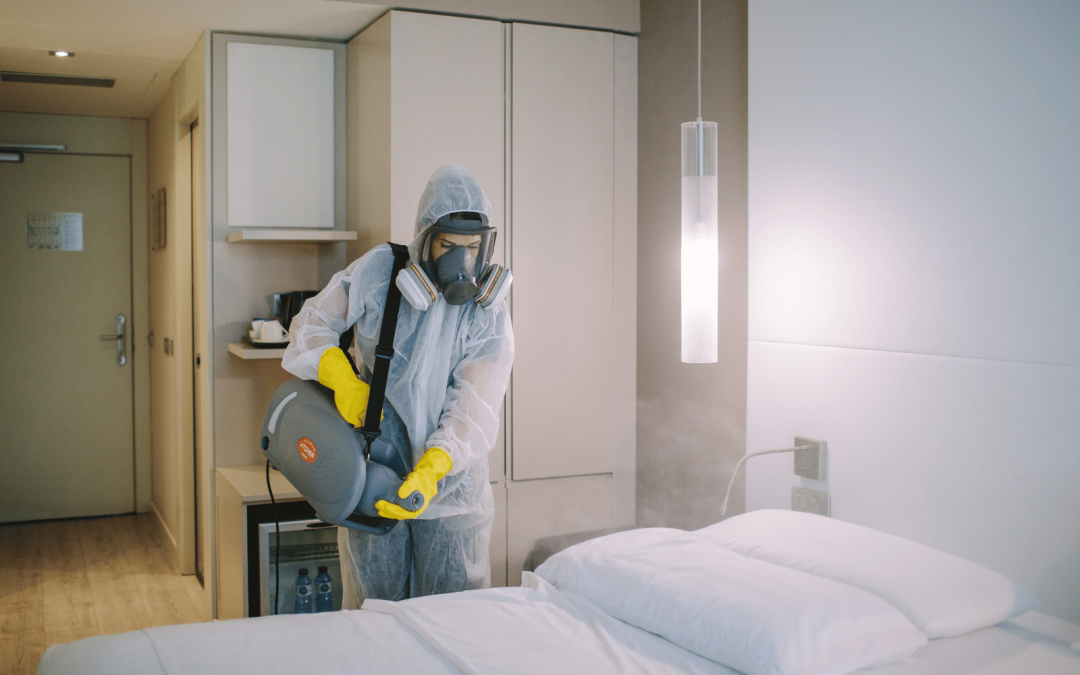 Control de Plagas para Hogares y Negocios en Cataluña